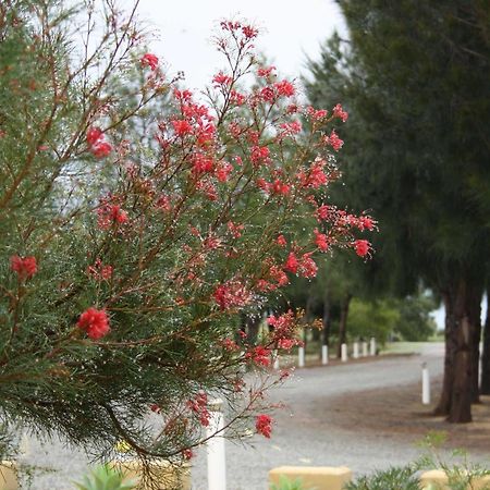 The Heights Bed & Breakfast Bed & Breakfast Jurien Bay Exterior photo