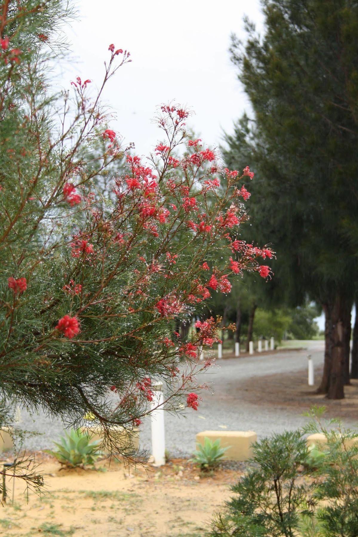 The Heights Bed & Breakfast Bed & Breakfast Jurien Bay Exterior photo